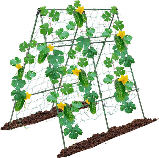 Cucumber Trellis