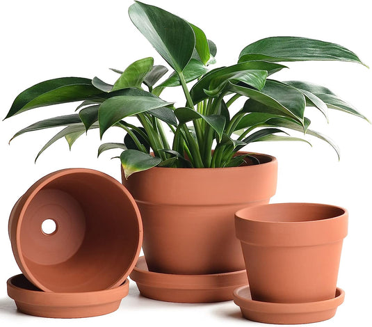 Terracotta Pots Set with Saucer - 5/6/7 inch
