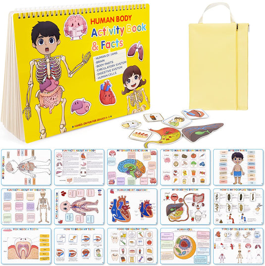 Human Body Activity Book for Kids